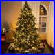 7_5Ft_Prelit_Artificial_Christmas_Tree_3661_Branch_Tips_800_Warm_Lights_01_jays