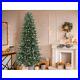 7_5_Artificial_Christmas_Tree_GE_Color_500_White_Spectrum_LED_Light_2457_tips_01_wn