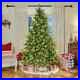 7_5_Ft_Christmas_Tree_Pre_Lit_Hayden_Pine_Tree_700_LED_Lights_01_hjmm