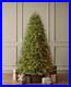 7_5_Ft_Grand_Duchess_Twinkling_Pre_Lit_Balsam_Fir_Christmas_Tree_T27_TikTok_NEW_01_rmd