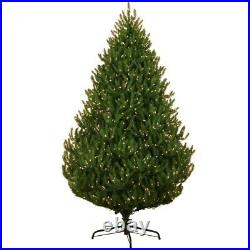 7.5 Ft Norway Spruce Artificial Christmas Tree with Clear Lights
