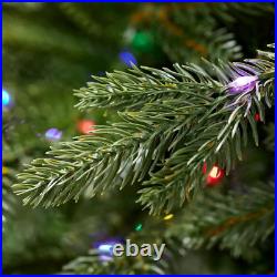 7.5 Ft. Pre-Lit LED Jackson Noble Artificial Christmas Tree 7.5 Ft. Pre-Lit LED Jackson Noble Artificial Christmas Tree