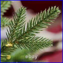 7.5 Ft. Pre-Lit LED Jackson Noble Artificial Christmas Tree 7.5 Ft. Pre-Lit LED Jackson Noble Artificial Christmas Tree