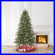 7_5_Pre_Lit_Birchwood_Fir_Green_Artificial_Christmas_Tree_With_Warm_LED_Lights_01_wmzm