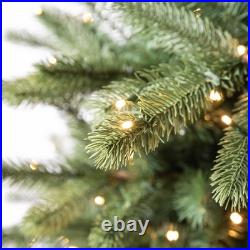 7.5' Pre-Lit Birchwood Fir Green Artificial Christmas Tree With Warm LED Lights