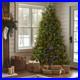 7_5_ft_Pre_Lit_Dunhill_Fir_Tree_with_Dual_Color_LED_Lights_National_Tree_Co_01_vuve