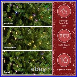7.5 ft. Pre-Lit Dunhill Fir Tree with Dual Color LED Lights National Tree Co
