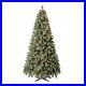 7_5_ft_Pre_Lit_Liberty_Pine_Artificial_Christmas_Tree_Color_Changing_LED_Lights_01_bisn