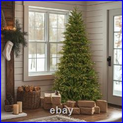 7.5 ft. Pre-Lit Northern Fraser Tree with Clear Lights, Plug-In