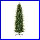 7_5_ft_Pre_Lit_Prancer_Fir_Pencil_Slim_Tree_with_Clear_Lights_Plug_In_01_xig