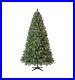 7_5_ft_Pre_lit_Kennedy_Fir_Artificial_Christmas_Tree_Color_Changing_LED_Lights_01_arao