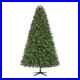 7_5_ft_Wesley_Long_Needle_Pine_LED_Pre_Lit_Christmas_Tree_550_Lights_1342_Tips_01_lp