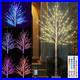 7_Ft_RGB_Lighted_Birch_Tree_35_Colors_Light_up_Tree_with_Remote_150_LED_Color_01_os