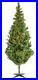 7_Rocky_Mountain_Pine_Christmas_Tree_with_Multi_Color_Lights_01_xtp