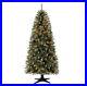 7_ft_Pre_Lit_Brookfield_Fir_Artificial_Christmas_Tree_Clear_Lights_01_nkd