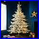 7ft_Pre_Lit_Frosted_Nordic_Spruce_Christmas_Tree_With_250_Warm_White_Led_Lights_01_yt