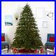 9_Colorado_Mountain_Pine_Artificial_Christmas_Tree_with650_LED_Retail_1023_01_lua