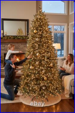 9 Ft. Jackson Noble Fir LED Pre-Lit Artificial Christmas Tree T24