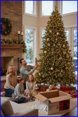 9 Ft. Jackson Noble Fir LED Pre-Lit Artificial Christmas Tree T24