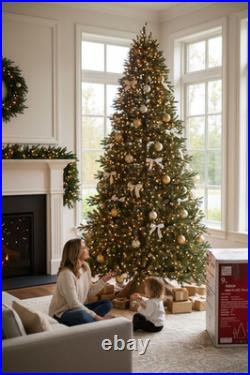 9 Ft. Jackson Noble Fir LED Pre-Lit Artificial Christmas Tree T24