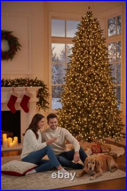 9 Ft. Jackson Noble Fir LED Pre-Lit Artificial Christmas Tree T24