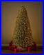 9_ft_Jackson_Noble_Fir_LED_Pre_Lit_Artificial_Christmas_Tree_T24_01_fuou