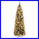 9_ft_Pre_Lit_Christmas_Tree_White_Snow_Flocked_Holiday_Decoration_with_LED_Lights_01_vc