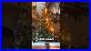 A_Traditional_Way_Of_Lighting_A_Christmas_Tree_Stephanidushka_01_yil