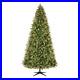 Artificial_Christmas_Tree_9_Spruce_LED_Pre_Lit_600_Color_Changing_Mini_Lights_01_vs