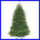 Artificial_Christmas_Tree_Includes_Stand_Dunhill_Fir_7_ft_01_eh