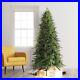 Artificial_Christmas_tree_Led_clear_lights_6_foot_spruce_addison_01_fow