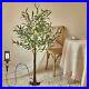 Artificial_Tree_with_Lights_Outdoor_160_Fairy_LED_Faux_4FT_Lighted_Olive_Tree_01_pnat