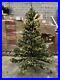 Balsam_Hill_6_5_Blue_Spruce_Candlelight_Clear_Christmas_Tree_LED_Easy_Plug_799_01_mxx