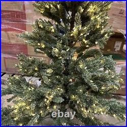 Balsam Hill 6.5 Blue Spruce Candlelight Clear Christmas Tree LED Easy Plug $799 Balsam Hill 6.5 Blue Spruce Candlelight Clear Christmas Tree LED Easy Plug $799