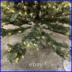 Balsam Hill 6.5 Blue Spruce Candlelight Clear Christmas Tree LED Easy Plug $799 Balsam Hill 6.5 Blue Spruce Candlelight Clear Christmas Tree LED Easy Plug $799