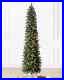 Balsam_Hill_9_Sonoma_Pencil_Slim_christmas_tree_with_clear_lights_2802015_01_kkt