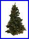 Balsam_Hill_Adirondack_Spruce_6_Foot_Christmas_Tree_with_Clear_Lights_Open_Great_01_yxzg