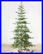 Balsam_Hill_Alpine_Balsam_Fir_Tree_4_5ft_Clear_LED_Fairy_Lights_Christmas_Decor_01_rtu