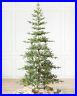Balsam_Hill_Alpine_Balsam_Fir_Tree_Clear_LED_Fairy_Lights_Christmas_Decor_01_tbs