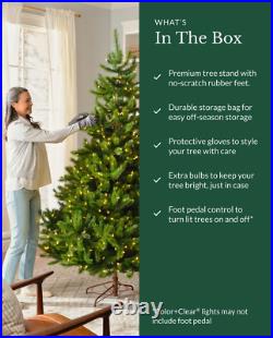 Balsam Hill BH FRASER FIR 6.5' Tree with Clear Lights Balsam Hill BH FRASER FIR 6.5' Tree with Clear Lights