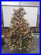 Balsam_Hill_Fraser_Fir_6_5_Christmas_Tree_Clear_Lights_NEWithOpen_Box_01_sf