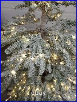 Balsam Hill -Frosted Alpine Balsam Fir Tree 6.5 Clear Led - Fairy Lights