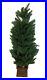Balsam_Hill_Windsor_Potted_Spruce_Tree_4_Potted_Tree_with_Candlelight_LED_Light_01_dpx