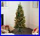 Bethlehem_Lights_5_Green_Micro_LED_Christmas_Tree_with_Storage_Bag_01_oaia