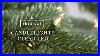 Candlelight_Clear_Led_Balsam_Hill_Tree_Lot_01_jobl
