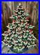 Ceramic_Christmas_Tree_Lighted_Frazier_Fir_17_inch_Green_Navy_01_il