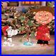 Charlie_Brown_Snoopy_The_Lonely_Tree_Lighted_Outdoor_Christmas_Decoration_3pc_01_masz