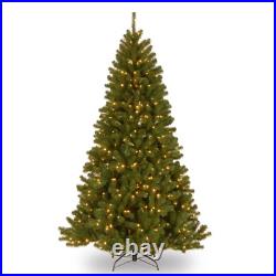 Christmas Spruce Tree with Clear Lights