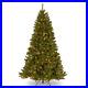 Christmas_Spruce_Tree_with_Clear_Lights_01_nrkg