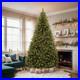 Christmas_Tree_7_5ft_Grand_Duchess_Twinkling_LED_Pre_Fir_Slim_NEW_01_kxr
